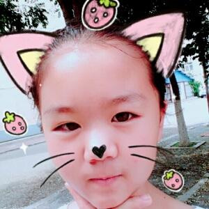 华丽的伪装