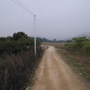 陈振育
