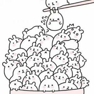 呵呵哒