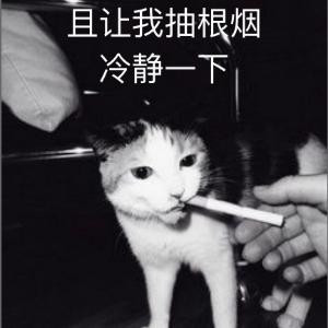 一叶书
