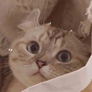 撑起伞