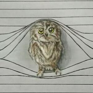 无解的事情