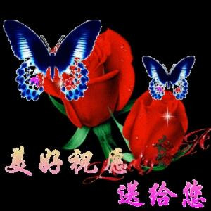 忘情水