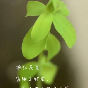 小魔