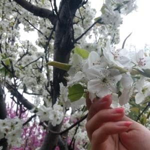 遇见花开