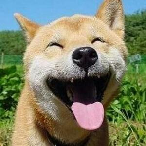 有名名无名