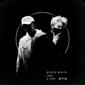 SwaggyTao