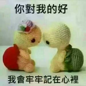 书虫