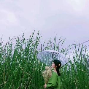 鱼