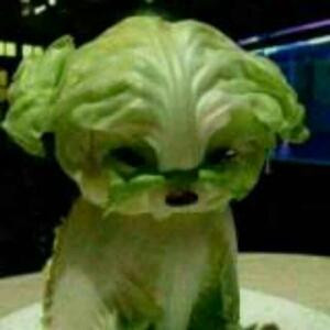 大林