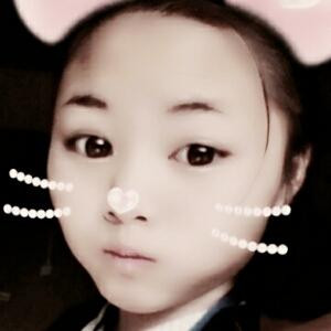 笨猫