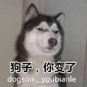 巨头爱绵绵