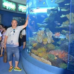 大海