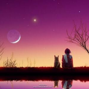 当流星划过夜空