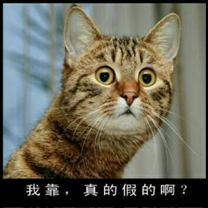 蜗牛