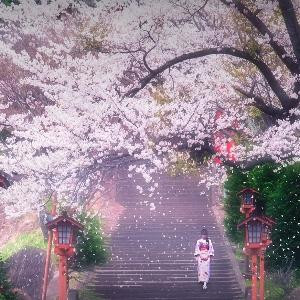 在下法号悟空