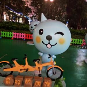 雾非雾