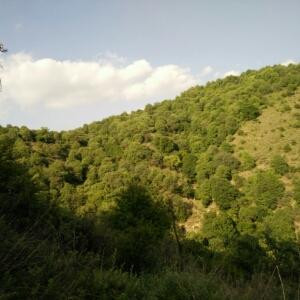 像风一样的浪子