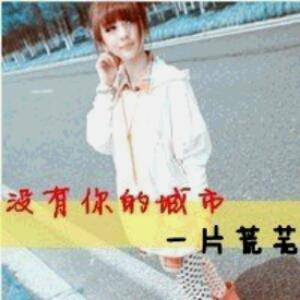 可爱的树袋熊