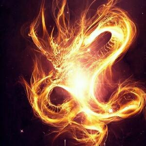 最帅的人就是我