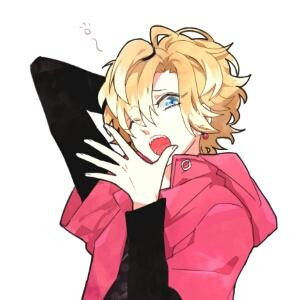 哇哈哈啊娃哈哈