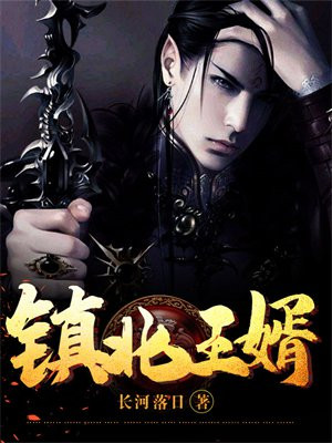 镇北王婿
