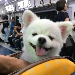 超可爱