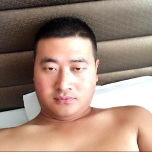 南飞的豹