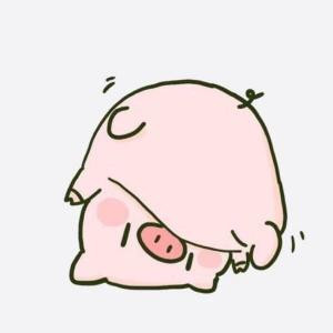 傻乎乎的鱼粥粥