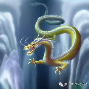 御天龍祥