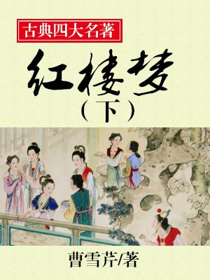 中国古典四大名著——红楼梦(下)