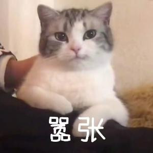 努力发光王某某