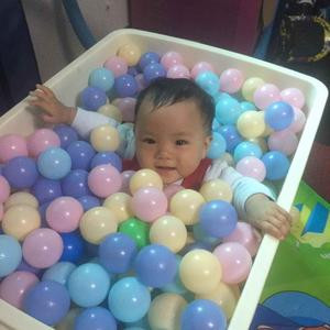 想当悟空的八戒