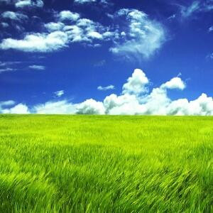悟道霸天