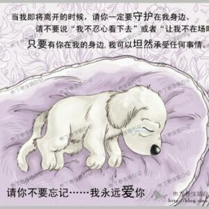 最忠诚的朋友