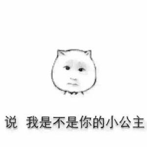女神的骑士大人