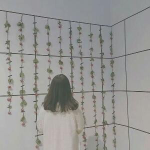 Fickle死结