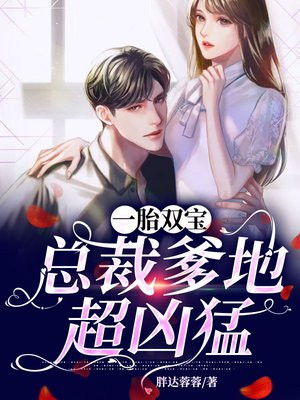 一胎双宝:总裁爹地超凶猛