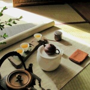 z竹韵66
