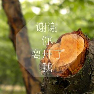 小凯