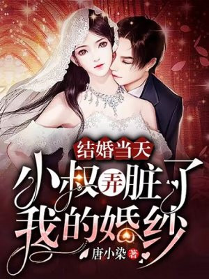 结婚当天,小叔弄脏了我的婚纱
