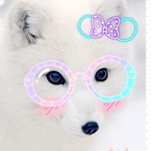 这个菇凉不太暖