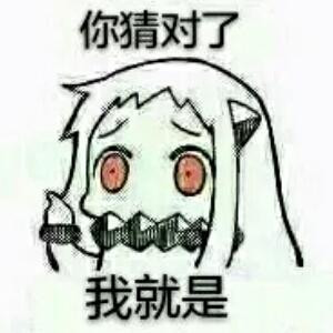 恨君不似江楼月