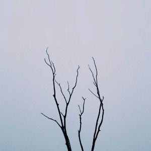 hopeful