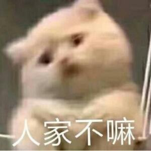 浅悦