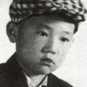 公子柳陌