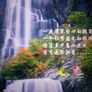 漂流的心iI风