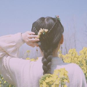 宁殇月