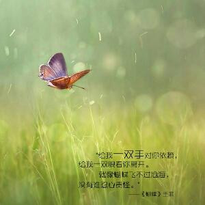 小米
