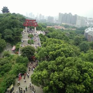小小